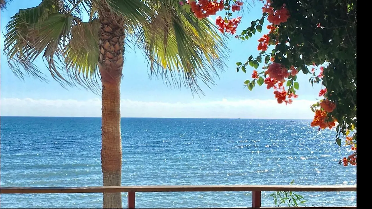 Mi Capricho 9A Beachfront- Apartment With Sea View - Costa Del Sol Sitio de Calahonda